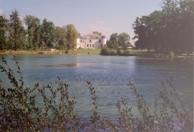 Sight from the pond