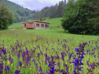view towards cottage