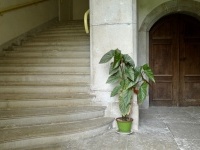 Monumental stone stair case - Square Tower