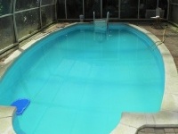 The swimming pool