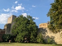 The property goes up to the feet of a middle age castle and wall